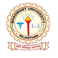 Bhagwant University